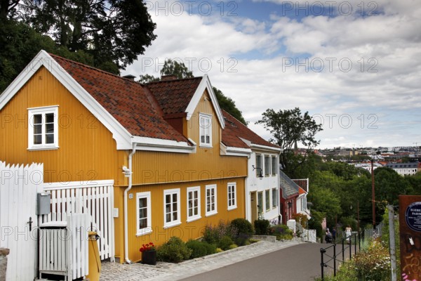 Colourful old wooden houses in Telthusbakken with wooded background and views of the city, Oslo, Norway