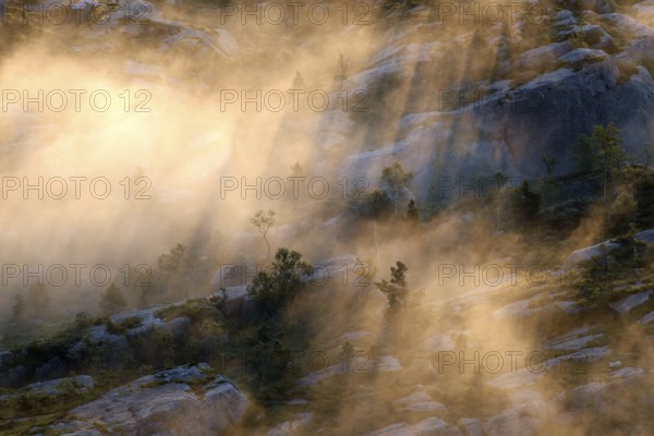 Picturesque sunrise light on a fog-shrouded plateau creating a mystical atmosphere, zero