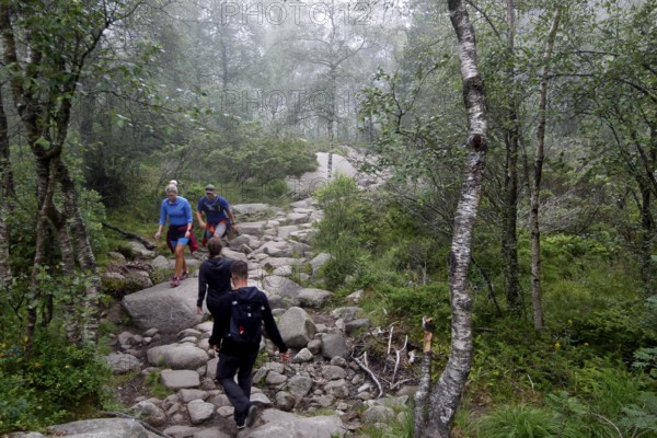 Tourists descend on a rocky trail through wooded terrain near Preikestolen, Preikestolen, Rogaland, Norway