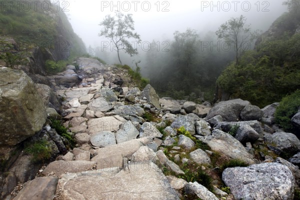 A rocky path winds through foggy landscapes up to Preikestolen, Preikestolen, Rogaland, Norway