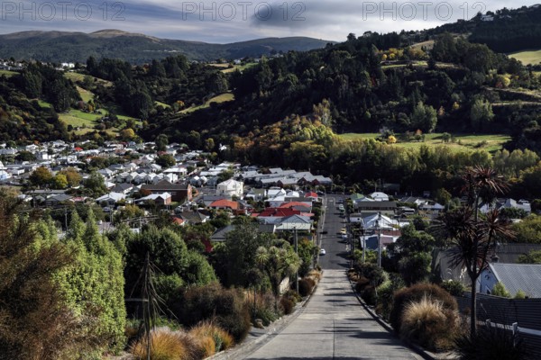 View down a hill town with surrounding vegetation in Dunedin, Dunedin, Otago, New Zealand