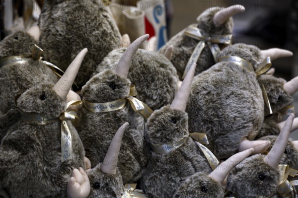 Collection of kiwi plush toys as souvenirs at West Coast Wildlife Centre, Franz Josef Glacier, New Zealand