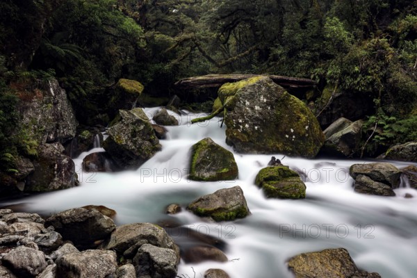 Waterfall surrounded by moss-covered rocks in thick forest, Lake Marian Track, Fjordland, New Zealand