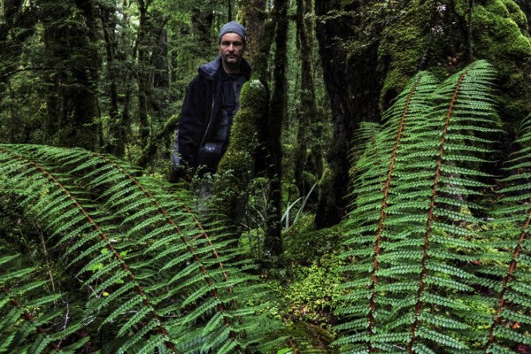Person among lush ferns in the thick forest of Lake Gunn Nature Walk, Fjordland National Park, New Zealand
