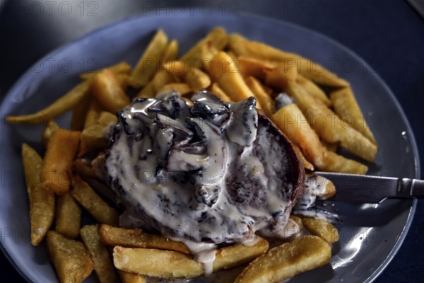 Steak with rich sauce on fries at Havelock Hotel, Havelock, Marlborough, New Zealand