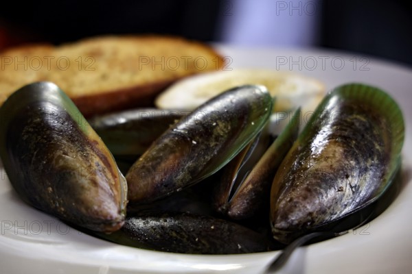 Cooked green shell mussels served on a plate at Havelock Hotel, Havelock, Marlborough, New Zealand