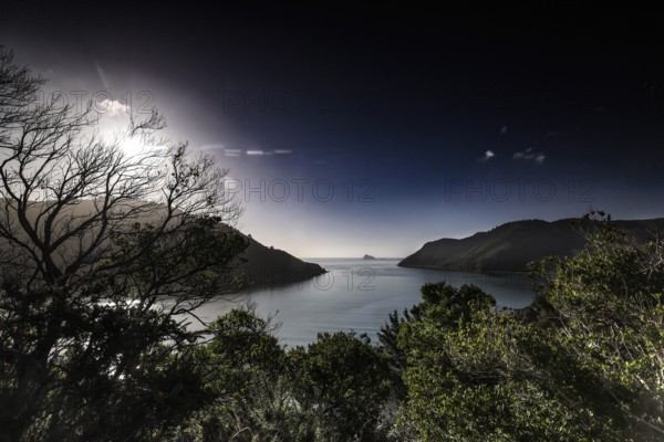 View of a tranquil sound surrounded by mountains and forests along French Pass Road, French Pass Road, South Island, New Zealand