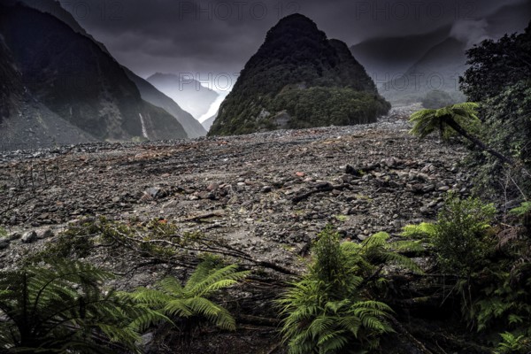 View of Fox Glacier with dramatic clouds and green vegetation in the foreground, Fox Glacier, West Coast, New Zealand