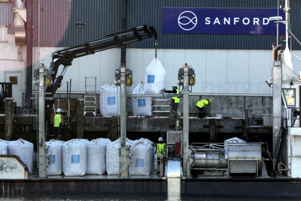 Industrial plant for processing green shell mussels in Havelock with workers at work, Havelock, Marlborough, New Zealand