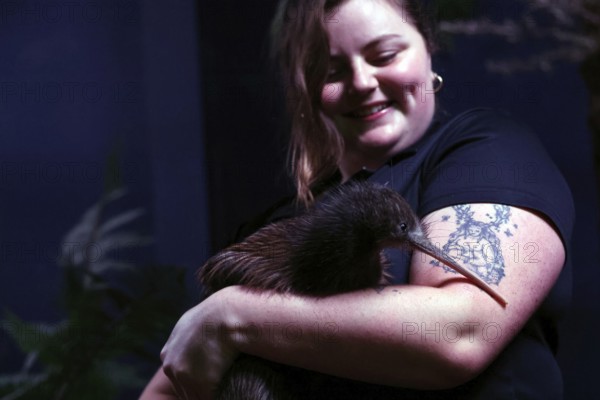 Woman smiling as she gently hugs a kiwi, visible a tattoo on her arm, Franz Josef Glacier, West Coast Wildlife Centre, New Zealand