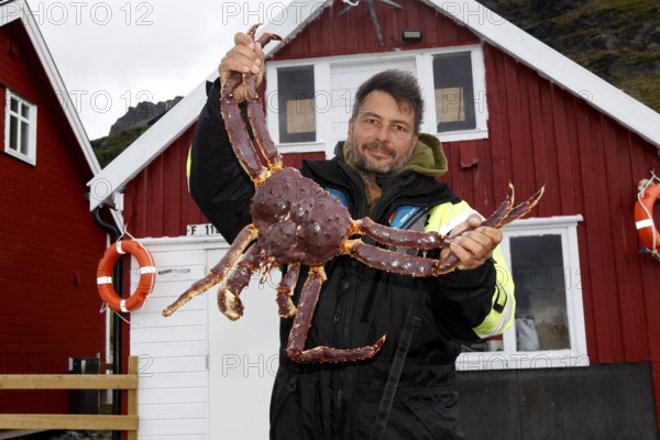 Man holding a large king crab in front of a red wooden house in Sarnes