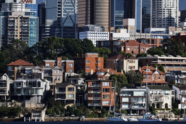 Dense layout of residential buildings in front of a modern waterfront skyline, Sydney, New South Wales, Australia