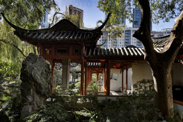 Traditional architecture and lush vegetation in the Chinese Garden of Friendship, Sydney, New South Wales, Australia