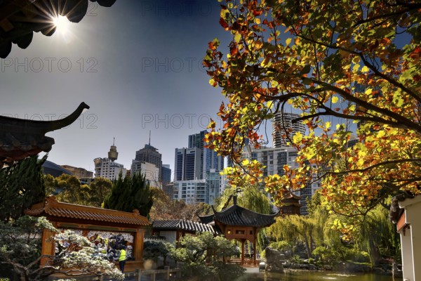 Autumn scenery with pagoda and modern skyline in the Chinese Garden, Sydney, New South Wales, Australia