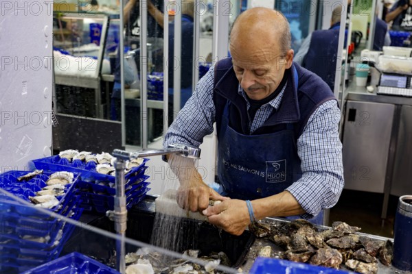 Man opens oysters in front of a blue container at Sydney fish market, Sydney, New South Wales, Australia