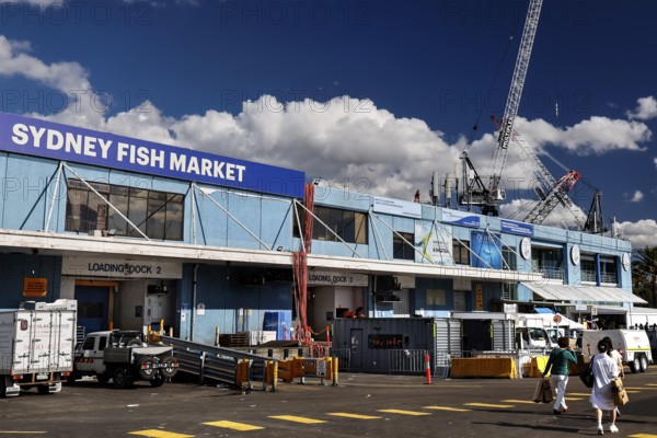 Exterior view of Sydney Fish Market with blue sky in background, Sydney, New South Wales, Australia