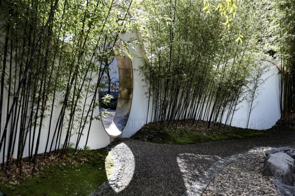 Moon gate in a bamboo grove in the Chinese Friendship Garden in Sydney, Sydney, New South Wales, Australia