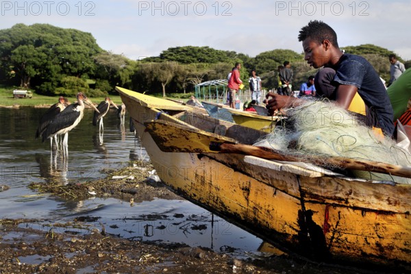 ETH Awasa, fish market