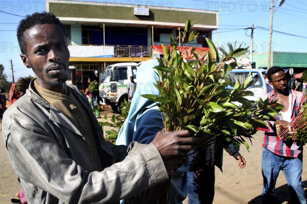 Man proudly displays his khat bundles on a busy street, Awaday, Afar, Ethiopia