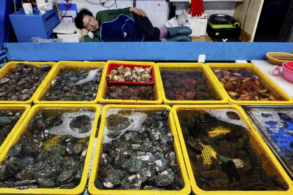 Fish market in Busan with extensive seafood display, Busan, South Korea