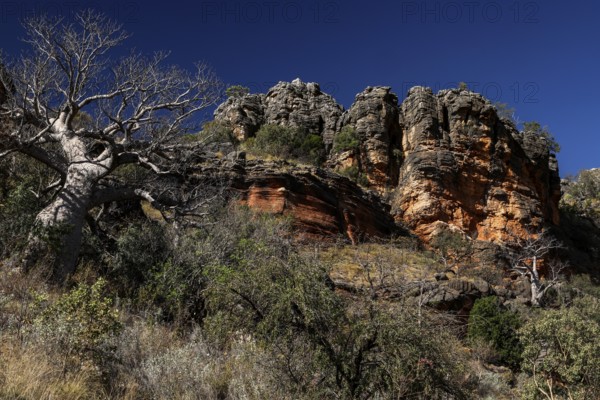 Rocky landscape with trees and distinctive rock formations in the King Leopold Range, zero