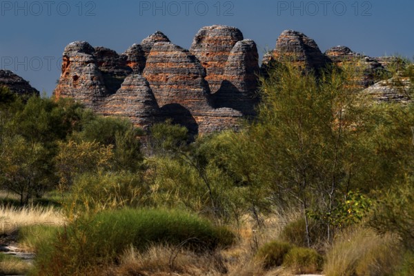 Colourful rocks and vegetation along the Cathedral Cove Trail in Purnululu National Park, Purnululu National Park, Western Australia, Australia