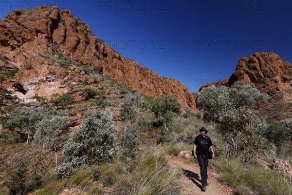 Man hiking on a trail in front of dramatic rocky landscape near Osmand Lookout, Purnululu National Park, Western Australia, Australia