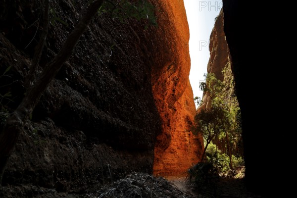 The impressive Echidna Chasm interspersed with plays of light and shadow, Purnululu, Western Australia, Australia