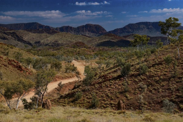 View of Purnululu National Park with winding hiking trail between hills and sparse vegetation, Purnululu National Park, Australia