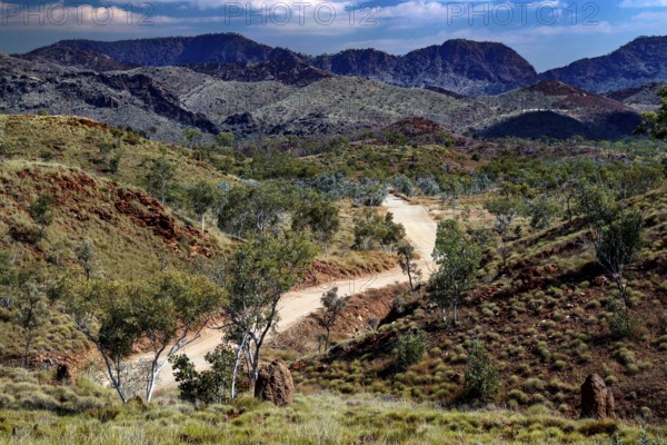 Impressive mountain scenery and dense vegetation in Purnululu National Park, zero