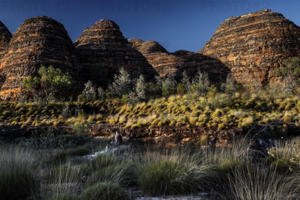 Impressive view of the Bungle Bungle Formations along the Piccaninny Lookout Trail, Purnululu National Park, Western Australia, Australia