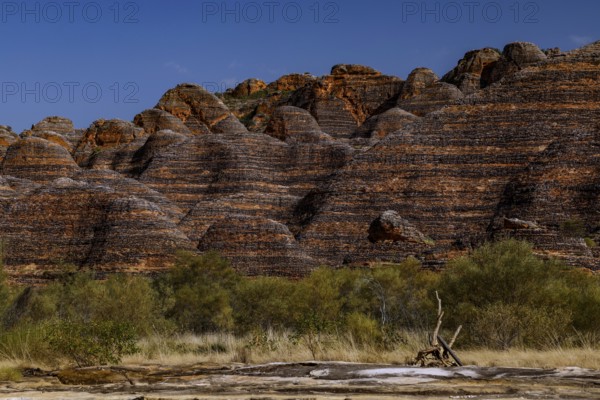 View of the characteristic rock formations of the Bungle Bungle in a dry riverbed, Purnululu National Park, Western Australia, Australia