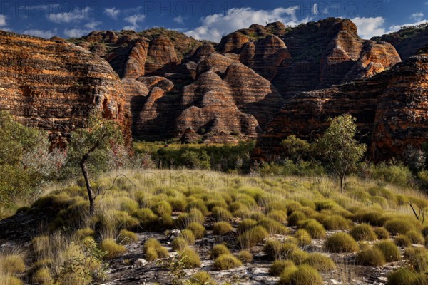 Dramatic rock formations surrounded by grass and bushes on the Piccaninny Lookout Trail, Purnululu National Park, Western Australia, Australia