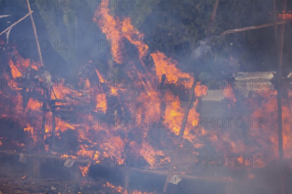 Wadah, the vehicle, the sacred magnificent animal, is the transport vehicle to transport the soul of the deceased to the spirit realm, Ngabe ceremony, Ubud, Bali, Indonesia
