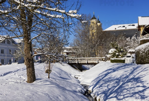 Snowy fruit trees with St. Michael Basilica, Mondsee, Mondseeland, Salzkammergut, Upper Austria, Austria
