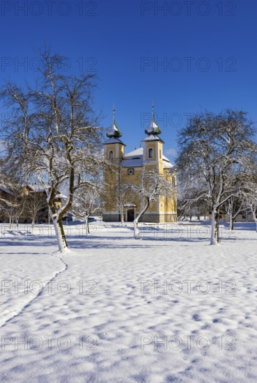 Snowy fruit trees with St. Lawrence Church in Sankt Lorenz bei Mondsee, Mondseeland, Salzkammergut, Upper Austria, Austria
