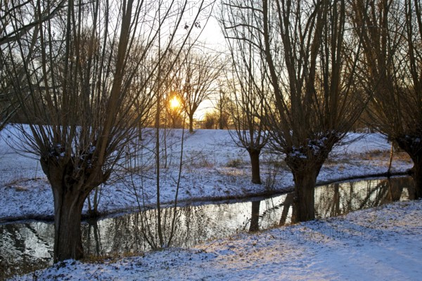 Sunrise over Lower Rhine landscape on the Aubruch Canal in winter, Moers, Wesel district, Lower Rhine, North Rhine-Westphalia, Germany