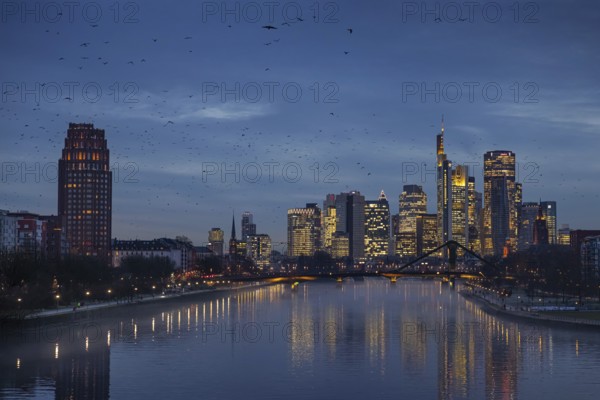 A flock of birds flies in the evening towards the glowing Frankfurt banking skyline, Osthafen, Frankfurt am Main, Hesse, Germany