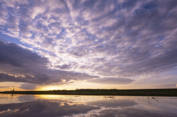 Evening sky is reflected in high water in Ochsenmoor am Dümmer, Ochsenmoor, Hüde, Lower Saxony, Germany