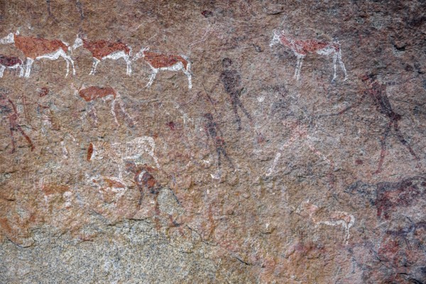 White Lady Rock Painting, White Lady Painting, Depiction of Hunters and Animals, Rock Paintings in Maack's Shelter, Tsisab Gorge, Brandberg, Erongo, Namibia