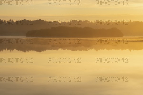 Sunrise with fog on a lake at the Ahlhoner fish ponds, Ahlhorn, Lower Saxony, Germany