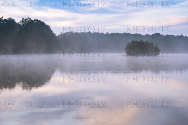 Daybreak with fog at blue hour in the Ahlhorner Fischteiche nature reserve of the Lower Saxony State Forests, Ahlhorn, Lower Saxony, Germany
