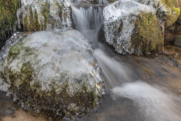 Branches are covered with ice near the river. The water flows gently and forms ice formations on the land and between the rocks. Upper Rhine, Vosges, Alsace, France