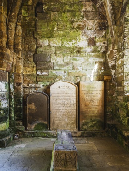 Jedburgh Abbey, Augustinian Abbey, Jedburgh, Scottish Borders, Scotland, UK