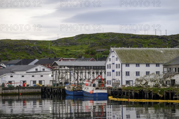 Fishing boats Fishing vessels are moored in Berlevag harbour in the north of the Varanger Peninsula with colorful buildings in the background, Berlevåg, Finnmark, Norway