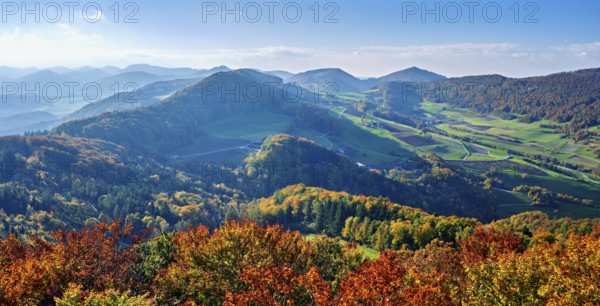 View of an autumnal forest from the Gisliflue, behind the Jura foothills with Wasserfluh and Strihen, Talheim, Canton, Aargau, Switzerland