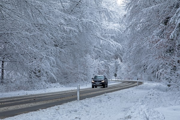 Car driving through snowy landscape, trees, winter, snow, Sieversen, Samtgemeinde Rosengarten, Lower Saxony, Germany