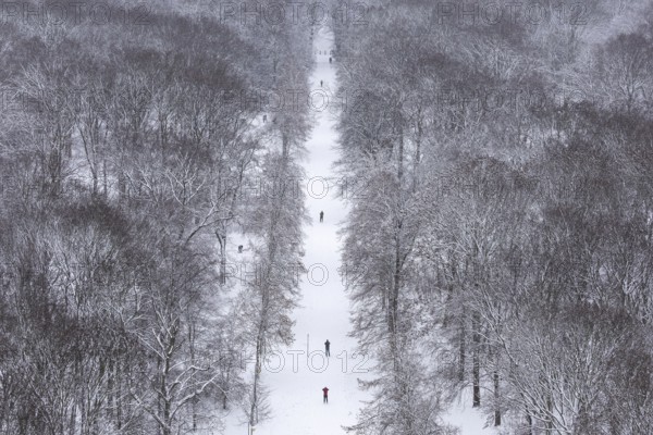 Walkers walk through the snow-covered Tiergarten in Berlin on 03.01.2026