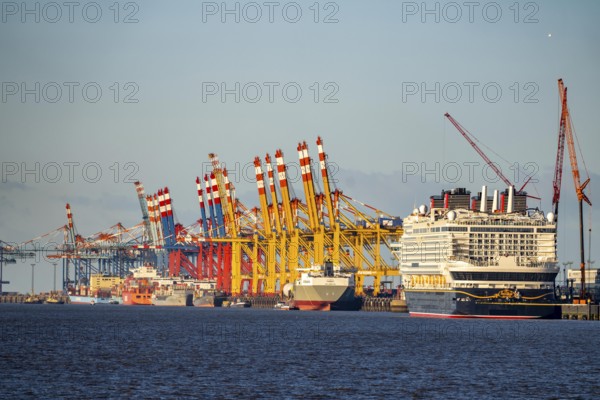 Disney Adventure cruise ship at Bremerhaven Cruise Port, MSC and Eurogate container terminal at Bremerhaven seaport, Eurogate container terminal with almost 50 container bridges, cranes, over a length of over 4 km at the mouth of the Weser, Bremerhaven, Bremen, Germany