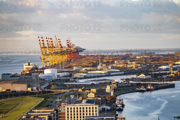 MSC and Eurogate container terminal in the seaport of Bremerhaven, Eurogate container terminal with almost 50 container bridges, cranes, over a length of over 4 km at the mouth of the Weser, Bremerhaven, Bremen, Germany